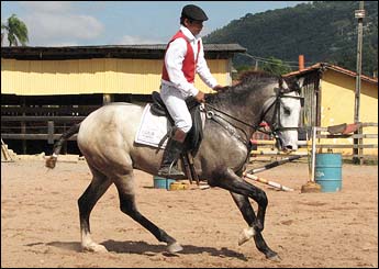 DONATO DO DROSA