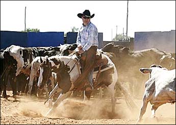 WEST COLLORS DAY TMR
