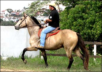 TIETA DO LUTY