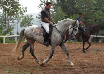 ACANHADO DA PITANGUEIRAS