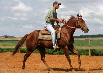 EQUICENTER CASH