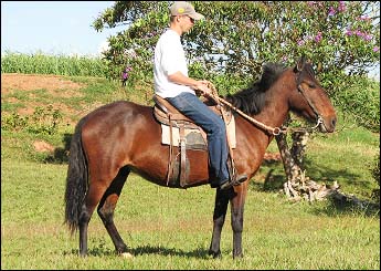 GOIABA