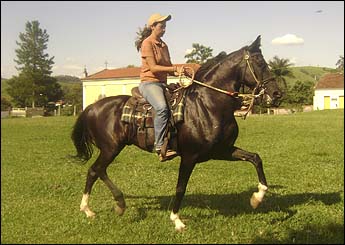 ÓLIN DA MAJOR MOURÃO