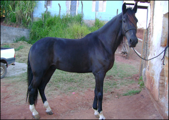Sem nome Informado - 9305