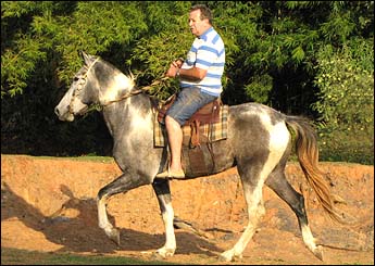 CAIAQUE