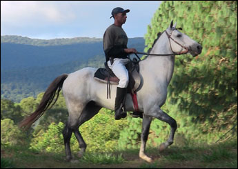 CAPITÃO DOS VALENTES