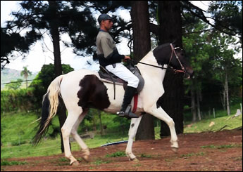 CACIQUE DO RANCHO DA SERRA