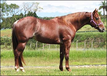 CATCHME DOC BID