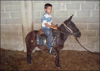 NEGUINHO