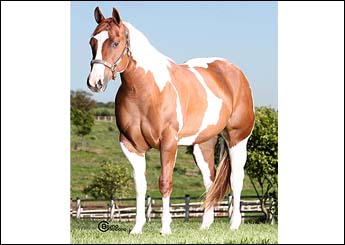 LADY ROYAL THUNDER RP