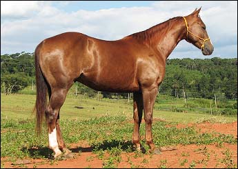 TALKINDUALLY