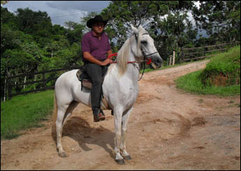 BRISA