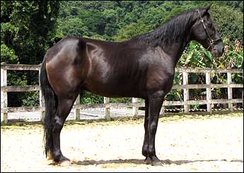 VILÃO DA CONQUISTA