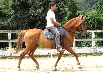 GUARATÃN DA CONQUISTA