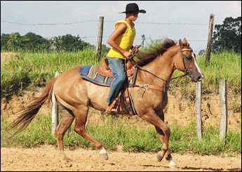 NAVEGANTE HOBBY