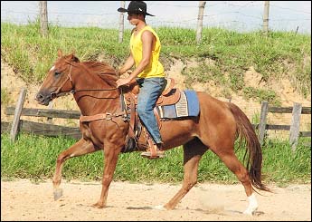 LUPITA BARS