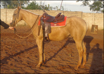 AQUIDABÃ
