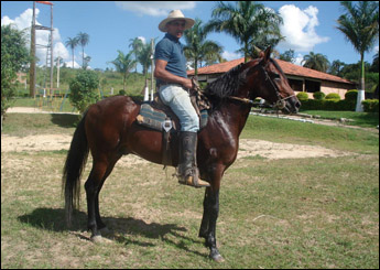 MAMBOLEIRO