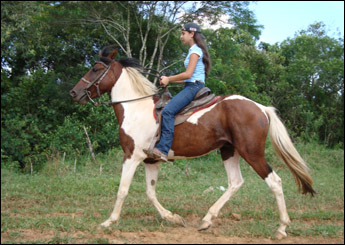 HIDALGO
