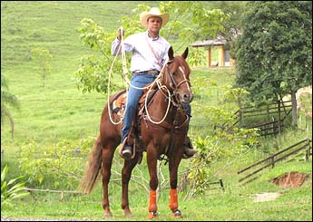 APOLO LÍDER BCQ