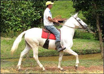 FAMOSA DA REPRESA