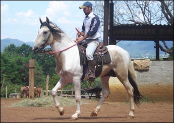 APACHE DO ACARAJÓ