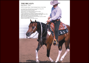 SÊMEN CONGELADO - THE BIG GUN - 2 PALHETAS