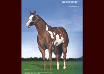 SÊMEN CONGELADO - RH IMPRINTED - 2 PALHETAS