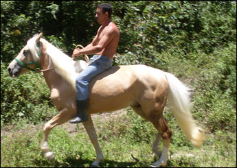 MARFIM