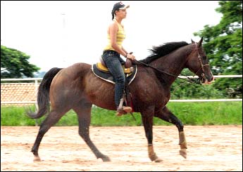 APOLLO SAN RUFAS