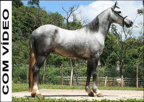 CAXAMBÚ ZENITE