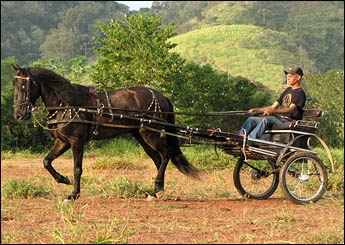 XOGUM DO RIACHO VERDE