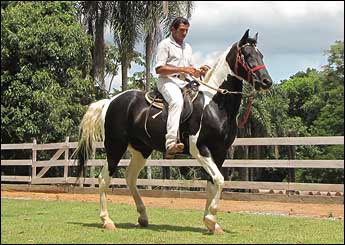 DESENHO DA SANTA RITA