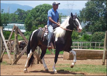 MAROTO RA