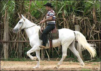 MOCAMBO QUILOMBO