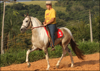 MAESTRO DO RANCHO DO ACASO