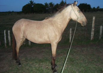 ESMERALDA