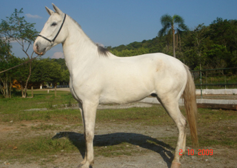 LENDÁRIO DO RASF