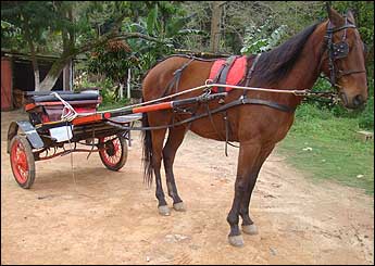TRILHO