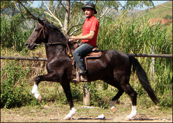 RANGER VEGAS