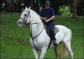 SETHI DA CACHOEIRINHA