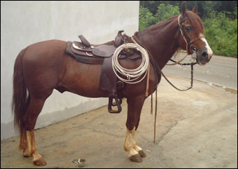 SEGREDO