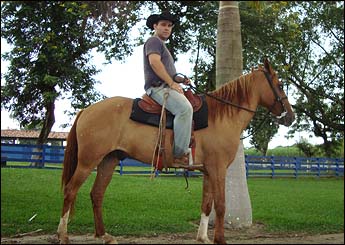 RUANO DO RANCHO DEM