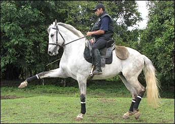 VAGÃO ITAPUÃ