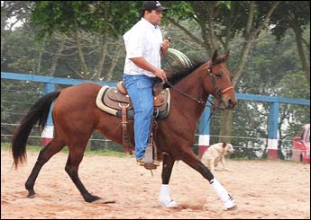 ATENA SPECIAL