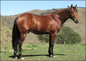 COUNTRY SOLANO PDL