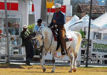 SB SADATA