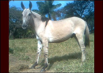 Sem nome Informado - 6605