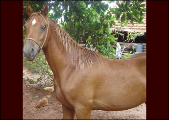 Sem nome Informado - 6505