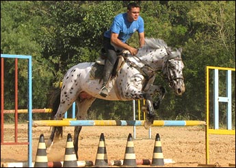 PIERRO VHC
